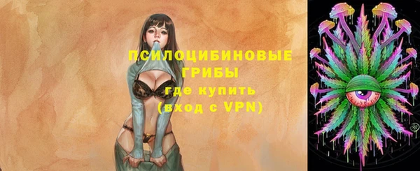 метамфетамин Анива