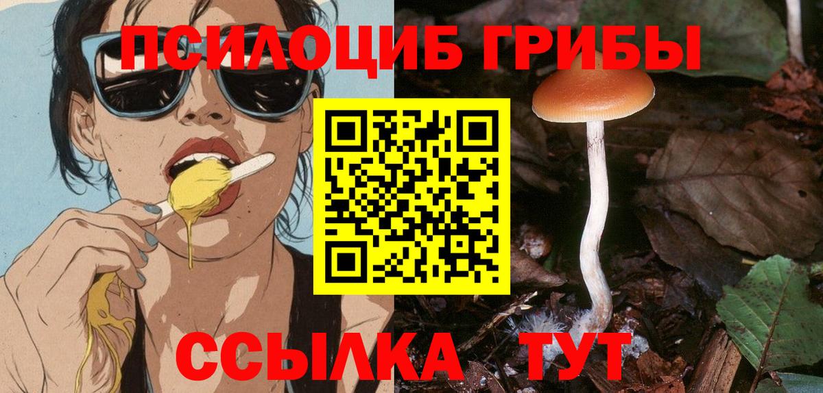 Галлюциногенные грибы Psilocybine cubensis Ковров