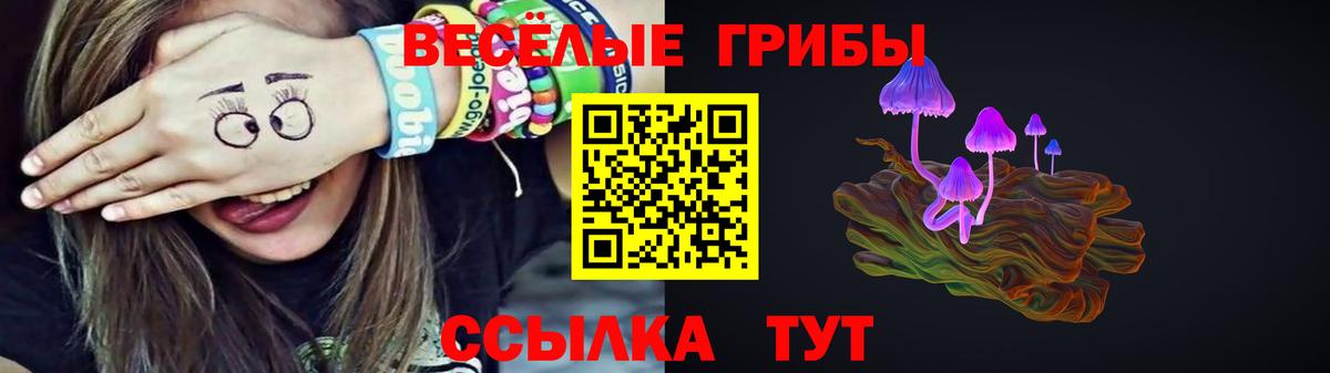 Галлюциногенные грибы прущие грибы  Вход с VPN  Ковров 